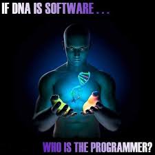 DNA software who programmer